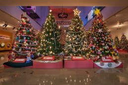 Christmas Around The World @ The Museum of Science and Industry